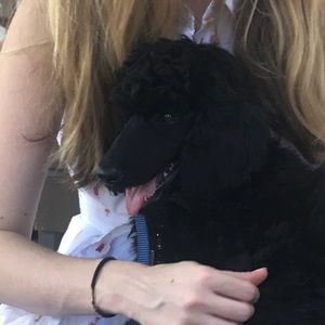 Meet your Posher, Joseph